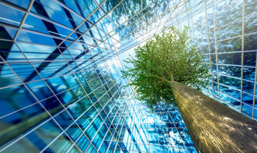 Business Buildings And Growing Green Leaves Tree (1)