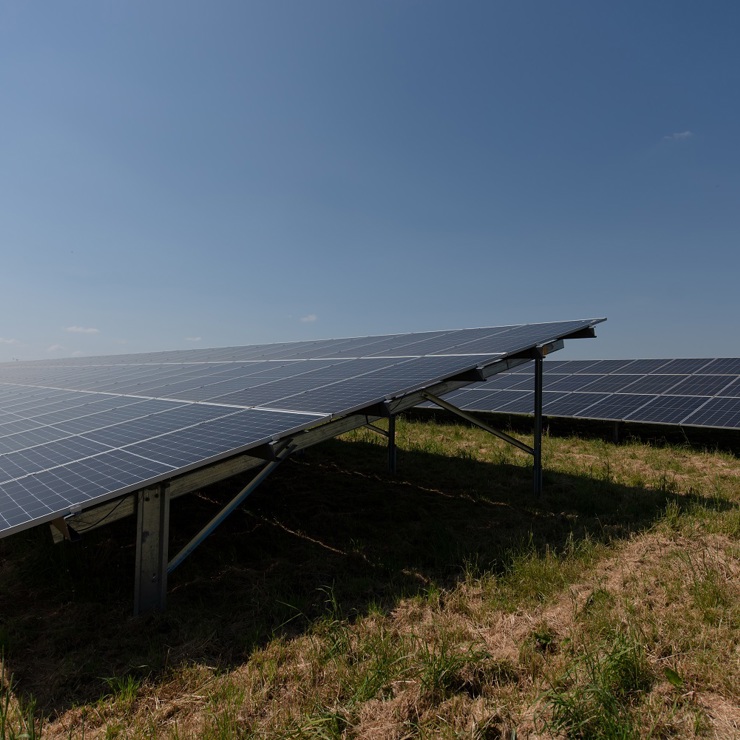 Codford Solar Farm 8Th June 2023 High Res 076